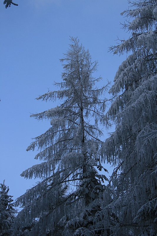 Bieszczady 12.2007 048